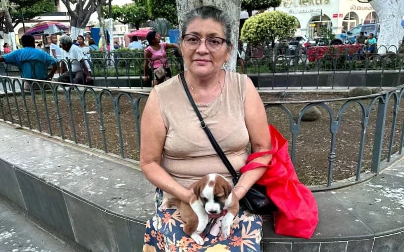 ¡BOCO supera las 30 adopciones responsables en Los Tuxtlas!
