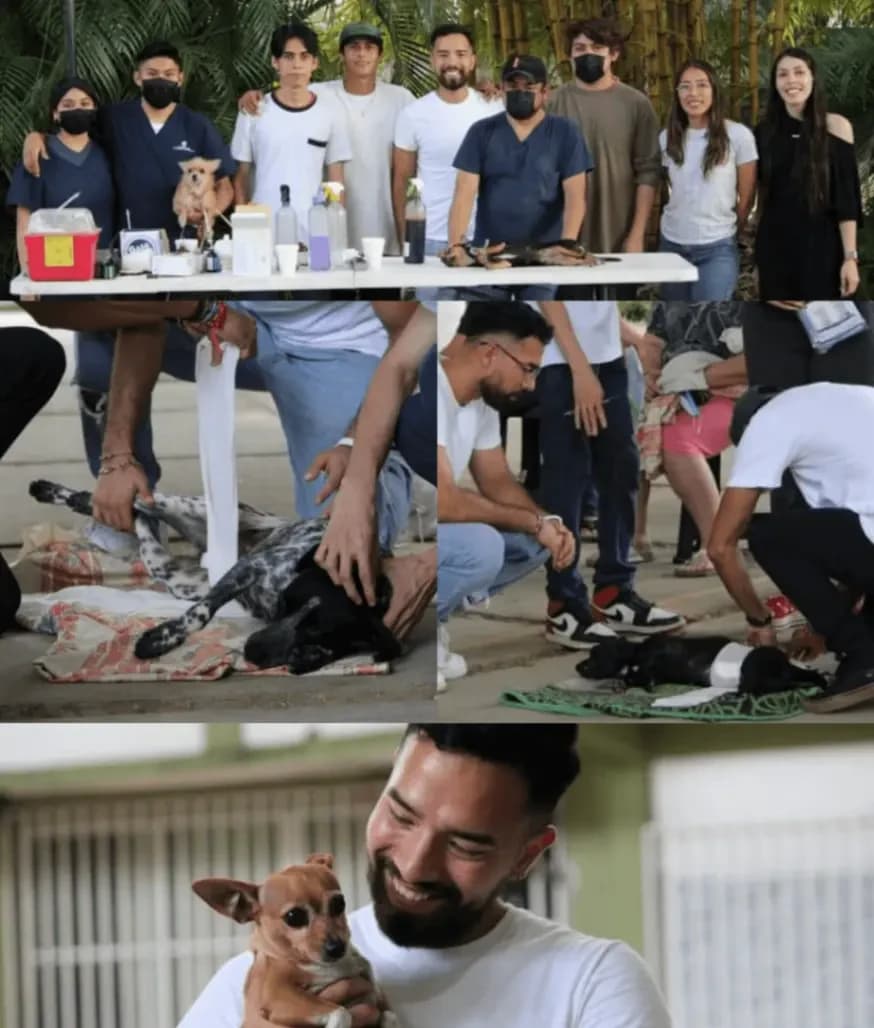 Campañas de Esterilización