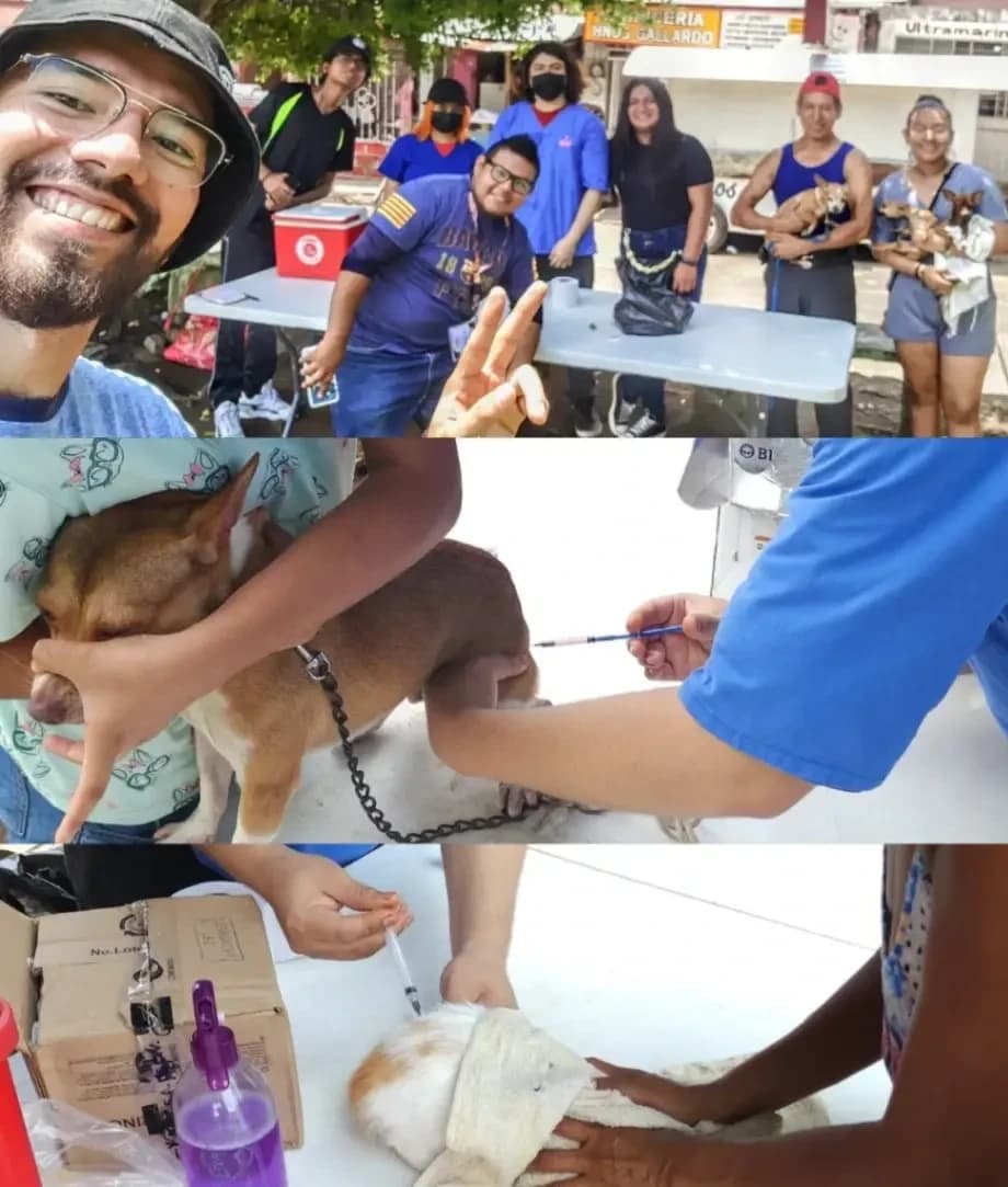 Campañas de Vacunación