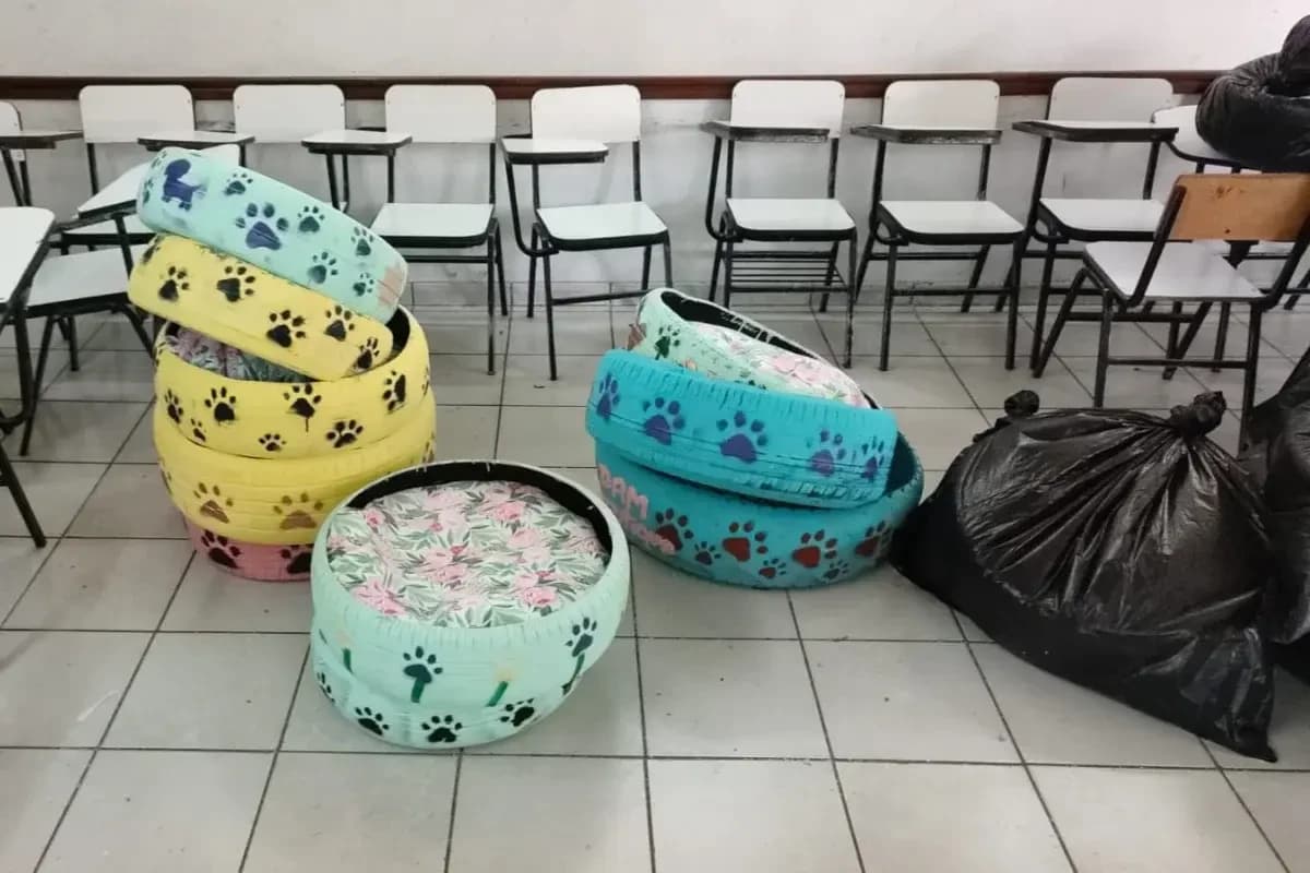 Galería 3